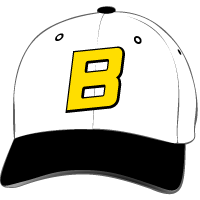 Barstow Vikings Hat with Logo